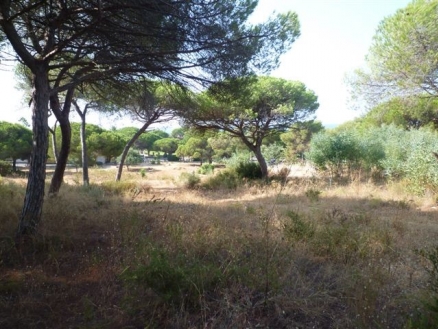 Marbesa&nbsp;property:&nbsp;Land&nbsp;for&nbsp;sale&nbsp;in&nbsp;Marbesa&nbsp;123075
