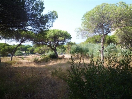 Marbesa&nbsp;property:&nbsp;Land&nbsp;for&nbsp;sale&nbsp;in&nbsp;Marbesa,&nbsp;Spain&nbsp;123075