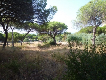 Marbesa&nbsp;property:&nbsp;Land&nbsp;with&nbsp;bedroom&nbsp;in&nbsp;Marbesa&nbsp;123075