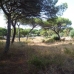 Marbesa&nbsp;property:&nbsp;Malaga,&nbsp;Spain&nbsp;Land&nbsp;123075
