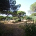 Marbesa&nbsp;property:&nbsp;Marbesa,&nbsp;Spain&nbsp;Land&nbsp;123075