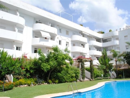 Apartment with 3 bedroom in town 123465