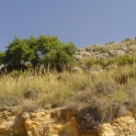 Coin property: Land for sale in Coin 123484