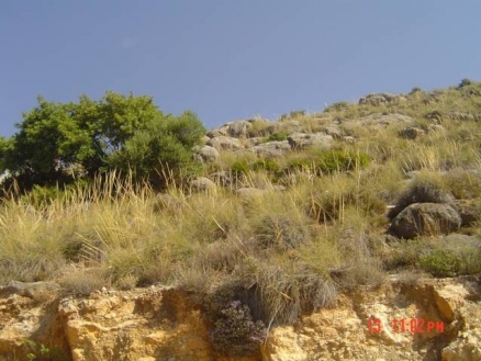 Coin property: Land for sale in Coin 123484