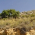 Coin property: Land for sale in Coin 123484