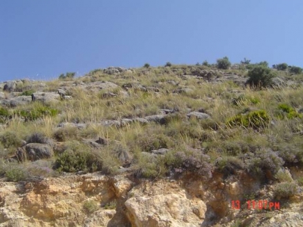 Coin property: Land with bedroom in Coin 123485