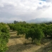 Alhaurin El Grande property: Malaga Villa, Spain 123492
