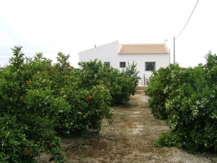 Formentera&nbsp;Del&nbsp;Segura&nbsp;property:&nbsp;Alicante&nbsp;property&nbsp;|&nbsp;3&nbsp;bedroom&nbsp;Villa&nbsp;123710
