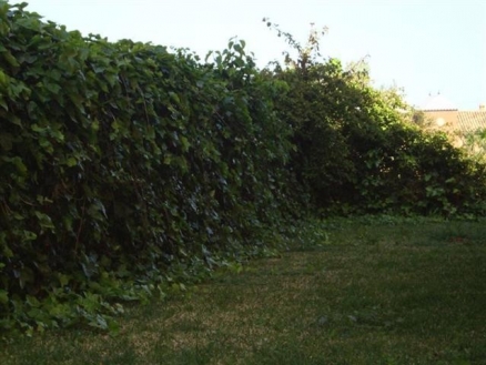 Riviera&nbsp;del&nbsp;Sol&nbsp;property:&nbsp;Riviera&nbsp;del&nbsp;Sol&nbsp;Villa&nbsp;123875