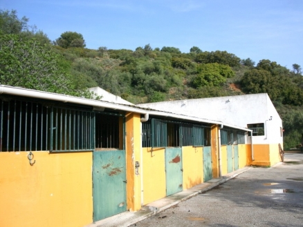 Alhaurin El Grande property: Malaga Villa 123902