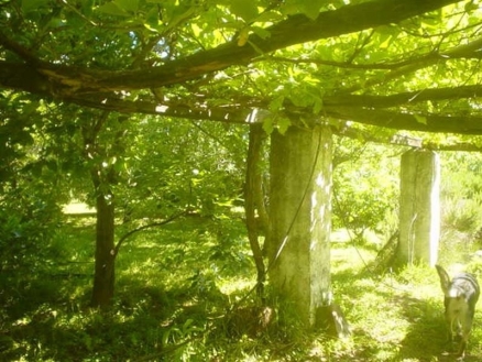 Jimena&nbsp;De&nbsp;La&nbsp;Frontera&nbsp;property:&nbsp;Villa&nbsp;with&nbsp;5&nbsp;bedroom&nbsp;in&nbsp;Jimena&nbsp;De&nbsp;La&nbsp;Frontera,&nbsp;Spain&nbsp;124139