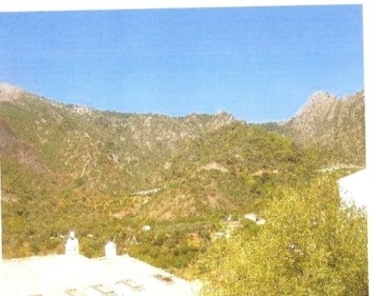 Ojen property: Malaga Land 124180