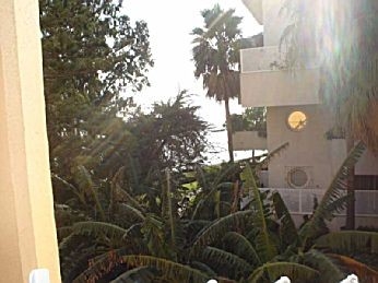 Estepona property: Estepona Apartment 124452