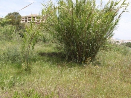 New&nbsp;Golden&nbsp;Mile&nbsp;property:&nbsp;Malaga&nbsp;Land&nbsp;124730