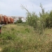 New&nbsp;Golden&nbsp;Mile&nbsp;property:&nbsp;Malaga&nbsp;Land,&nbsp;Spain&nbsp;124730