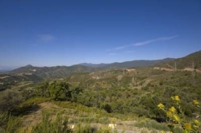 Land&nbsp;for&nbsp;sale&nbsp;in&nbsp;town,&nbsp;Spain&nbsp;125487