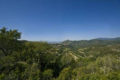 Land&nbsp;for&nbsp;sale&nbsp;in&nbsp;town,&nbsp;Malaga&nbsp;125487