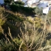 Cerros&nbsp;del&nbsp;Aguila&nbsp;property:&nbsp;Cerros&nbsp;del&nbsp;Aguila,&nbsp;Spain&nbsp;Land&nbsp;125760