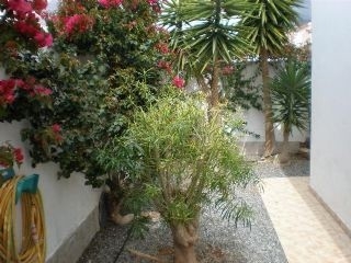 Villa&nbsp;for&nbsp;sale&nbsp;in&nbsp;town,&nbsp;Tenerife&nbsp;125810