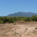Sierra&nbsp;Blanca&nbsp;property:&nbsp;bedroom&nbsp;Land&nbsp;in&nbsp;Malaga&nbsp;126709