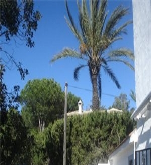 La&nbsp;Heredia&nbsp;property:&nbsp;La&nbsp;Heredia,&nbsp;Spain&nbsp;|&nbsp;Townhome&nbsp;for&nbsp;sale&nbsp;127439