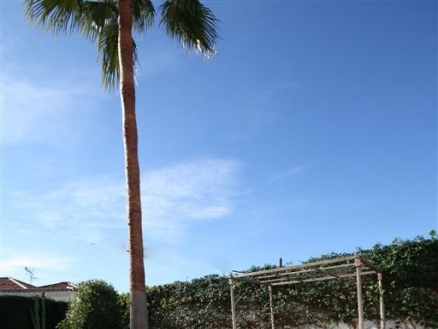 Rio&nbsp;Real&nbsp;property:&nbsp;Rio&nbsp;Real,&nbsp;Spain&nbsp;|&nbsp;Villa&nbsp;for&nbsp;sale&nbsp;128301