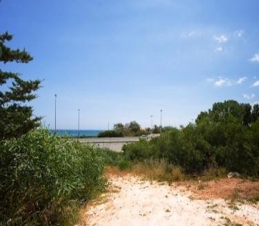 El&nbsp;Chaparral&nbsp;property:&nbsp;Land&nbsp;with&nbsp;bedroom&nbsp;in&nbsp;El&nbsp;Chaparral&nbsp;128417