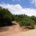 El&nbsp;Chaparral&nbsp;property:&nbsp;El&nbsp;Chaparral,&nbsp;Spain&nbsp;Land&nbsp;128417