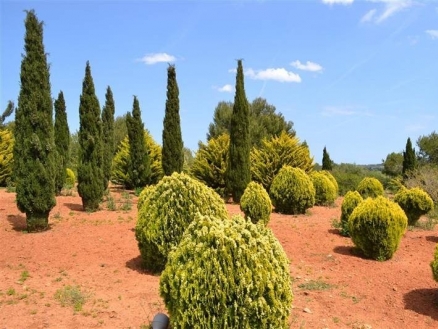 Ses&nbsp;Salines&nbsp;property:&nbsp;Villa&nbsp;with&nbsp;3&nbsp;bedroom&nbsp;in&nbsp;Ses&nbsp;Salines,&nbsp;Spain&nbsp;128729