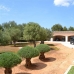 Ses&nbsp;Salines&nbsp;property:&nbsp;3&nbsp;bedroom&nbsp;Villa&nbsp;in&nbsp;Ses&nbsp;Salines,&nbsp;Spain&nbsp;128729