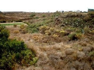 Land&nbsp;for&nbsp;sale&nbsp;in&nbsp;town,&nbsp;Tenerife&nbsp;128778