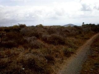 town&nbsp;Land&nbsp;128778