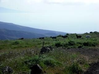 Tenerife&nbsp;property&nbsp;|&nbsp;bedroom&nbsp;Land&nbsp;128791
