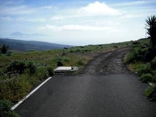 Tenerife&nbsp;Land&nbsp;128791