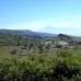 &nbsp;Land&nbsp;in&nbsp;Tenerife&nbsp;128791