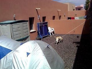 town,&nbsp;Spain&nbsp;|&nbsp;Townhome&nbsp;for&nbsp;sale&nbsp;129162