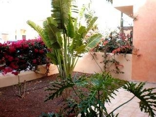 town,&nbsp;Spain&nbsp;|&nbsp;Apartment&nbsp;for&nbsp;sale&nbsp;129177