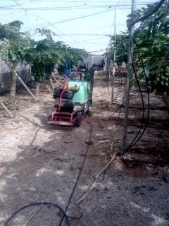 Villa&nbsp;with&nbsp;bedroom&nbsp;in&nbsp;town,&nbsp;Spain&nbsp;129183