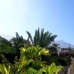 &nbsp;Apartment&nbsp;in&nbsp;Tenerife&nbsp;129201