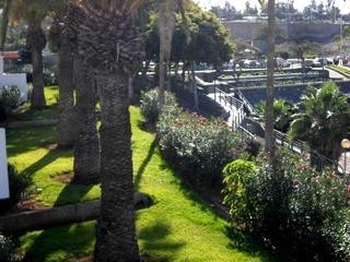 Tenerife&nbsp;property&nbsp;|&nbsp;bedroom&nbsp;Studio&nbsp;129232