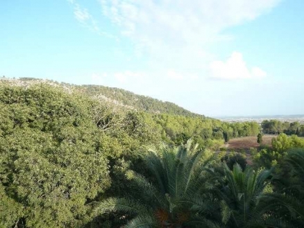 Sa&nbsp;Pobla&nbsp;property:&nbsp;Villa&nbsp;in&nbsp;Mallorca&nbsp;for&nbsp;sale&nbsp;130760