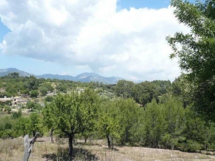 Inca&nbsp;property:&nbsp;Land&nbsp;with&nbsp;bedroom&nbsp;in&nbsp;Inca&nbsp;130876