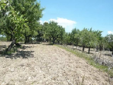 Inca&nbsp;property:&nbsp;Mallorca&nbsp;property&nbsp;|&nbsp;bedroom&nbsp;Land&nbsp;130876