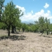 Inca&nbsp;property:&nbsp;bedroom&nbsp;Land&nbsp;in&nbsp;Mallorca&nbsp;130876