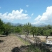 Inca&nbsp;property:&nbsp;&nbsp;Land&nbsp;in&nbsp;Mallorca&nbsp;130876