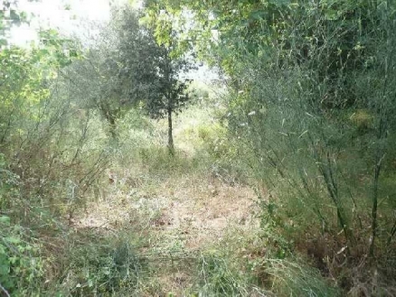 Campanet&nbsp;property:&nbsp;Land&nbsp;for&nbsp;sale&nbsp;in&nbsp;Campanet&nbsp;130878