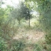 Campanet&nbsp;property:&nbsp;Land&nbsp;for&nbsp;sale&nbsp;in&nbsp;Campanet&nbsp;130878