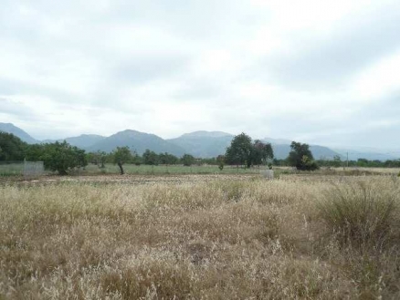 Selva&nbsp;property:&nbsp;Land&nbsp;for&nbsp;sale&nbsp;in&nbsp;Selva&nbsp;130887