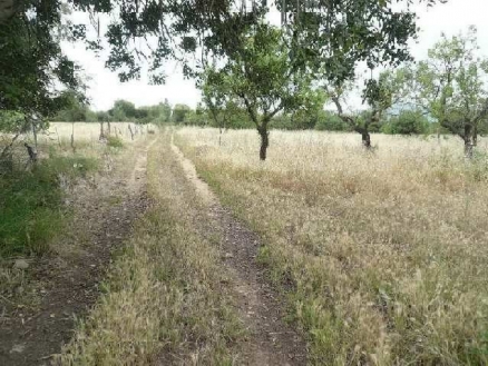 Selva&nbsp;property:&nbsp;Land&nbsp;with&nbsp;bedroom&nbsp;in&nbsp;Selva,&nbsp;Spain&nbsp;130887