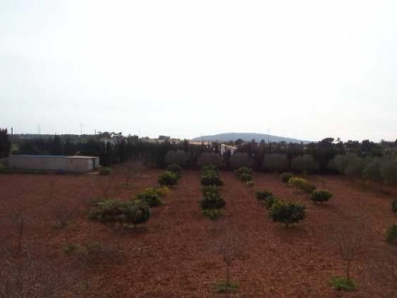 Binissalem&nbsp;property:&nbsp;Villa&nbsp;for&nbsp;sale&nbsp;in&nbsp;Binissalem,&nbsp;Mallorca&nbsp;130888